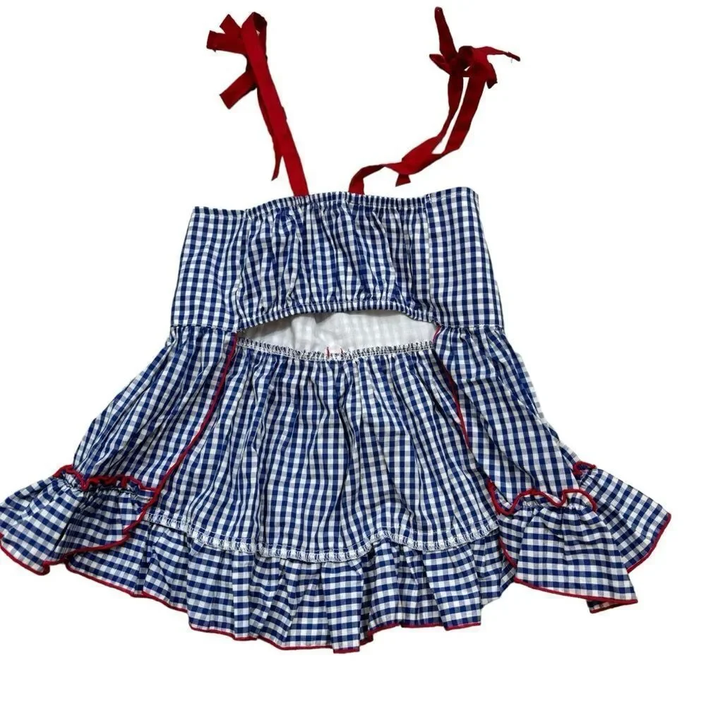 Dog Size‎ Medium Blue and White Gingham Dress With Red Details